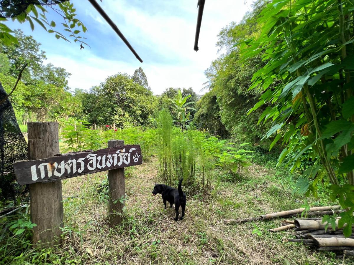 Phow Homestay Ban Mai (Nakhon Sawan) Exterior foto