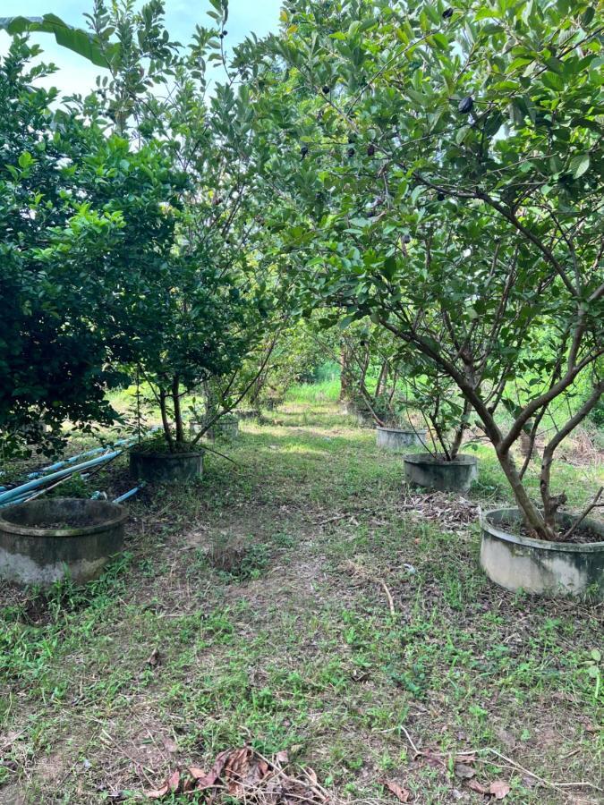 Phow Homestay Ban Mai (Nakhon Sawan) Exterior foto